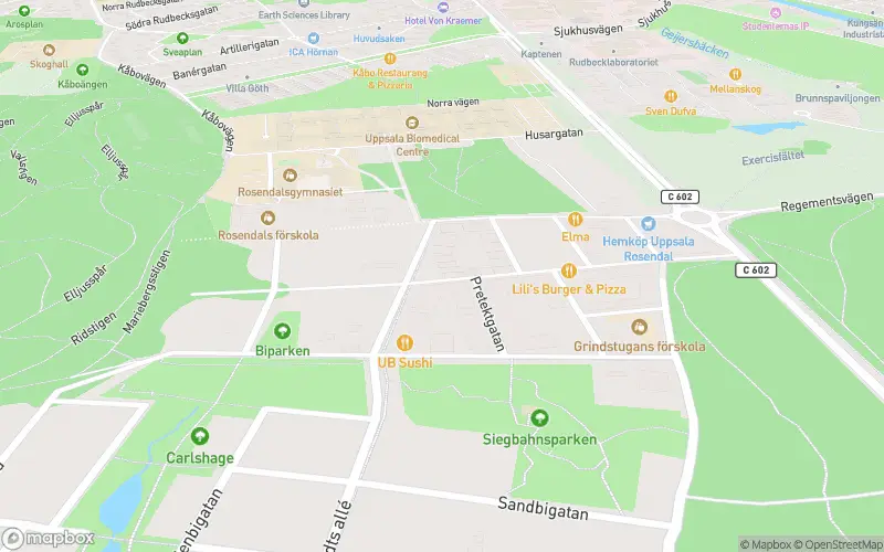 Himlen är blå som en apelsin - Uppsala