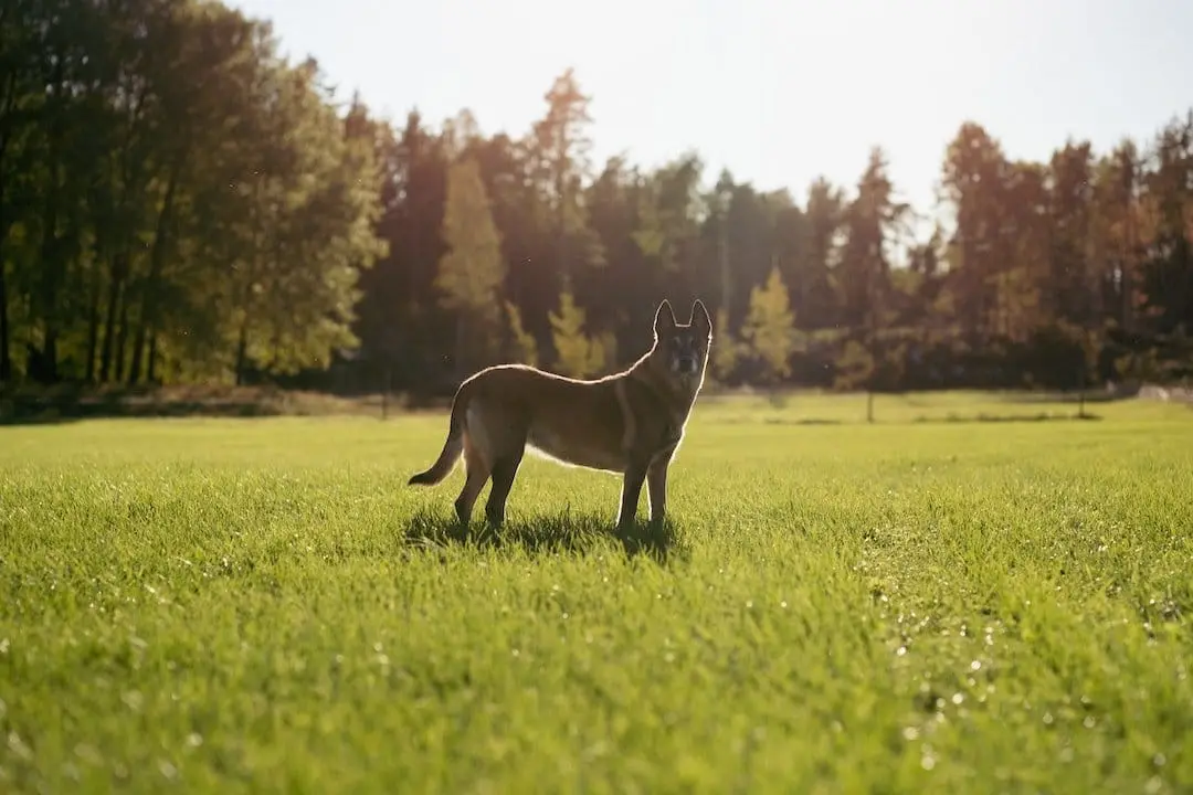 Natur och friluftsliv i Uppsala